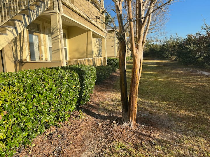 Back View Behind Condo