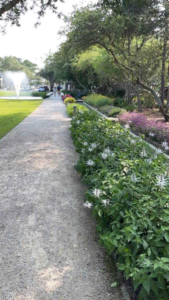 Things to Do in Santa Rosa Beach & 30A in May 2025 4 Watercolor Cerulean Park